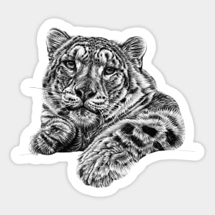 Snow leopard illustration Sticker